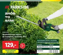 Lidl Nożyce akumulatorowe żywopłotu 20v Parkside oferta