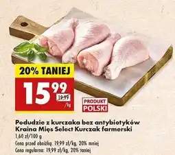 Biedronka Podudzie z kurczaka farmerskiego Kraina Mięs Select oferta