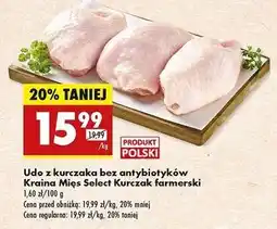 Biedronka Udo z kurczaka farmerskiego Kraina Mięs Select oferta