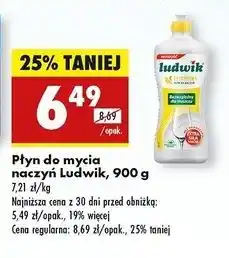 Biedronka Płyn do naczyń cytrynowy Ludwik oferta