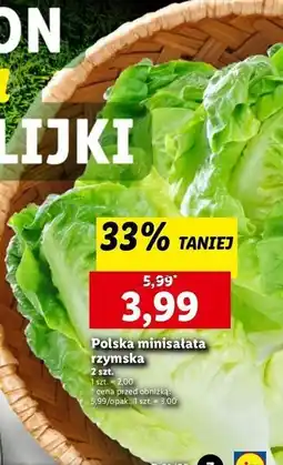 Lidl Sałatka rzymska mini oferta