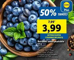Lidl Borówka amerykańska oferta