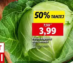 Lidl Kapusta biała oferta