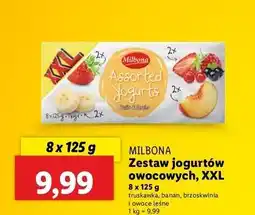 Lidl Jogurt wieloowocowy Milbona oferta