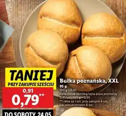 Bułka poznańska xxl Nowel