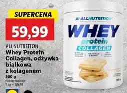 Lidl Odzywka białkowa z kolagenem biała czekolada Allnutrition Whey Protein oferta