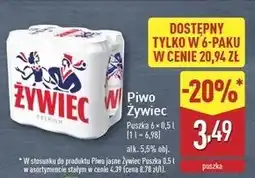 ALDI Piwo Żywiec Jasne Pełne oferta