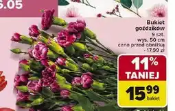 Carrefour Goździki oferta
