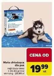Carrefour Mata chłodząca dla psa oferta