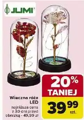 Carrefour Wieczna róża led Jumi oferta