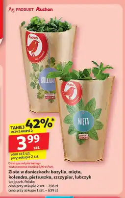 Auchan Szczypiorek Auchan różnorodne (logo czerwone) oferta