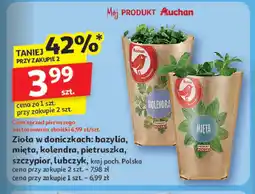 Auchan Lubczyk Auchan różnorodne (logo czerwone) oferta