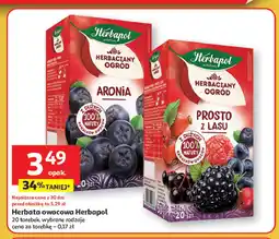 Auchan Herbata prosto z lasu Herbapol herbaciany ogród oferta