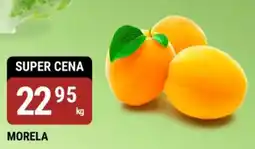 bi1 Morela oferta
