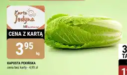 bi1 Kapusta pekińska oferta