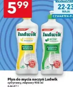 Lewiatan Płyn do mycia naczyń Ludwik oferta