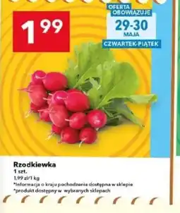 Lewiatan Rzodkiewka oferta