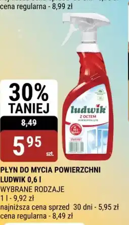 bi1 Płyn do mycia powierzchni Ludwik oferta