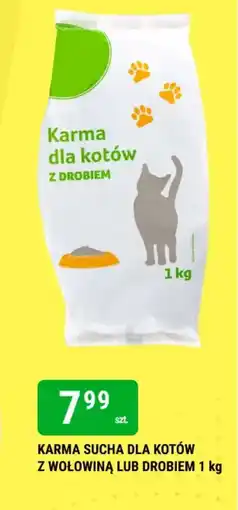 bi1 Karma sucha dla kotów oferta