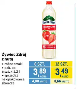 Makro Zywiec Zdrój z nutą oferta