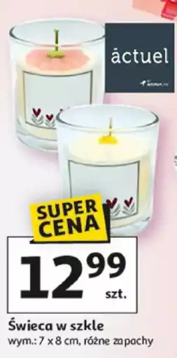 Auchan Swieca w szkle oferta