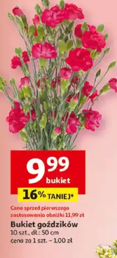 Auchan Bukiet goździków oferta
