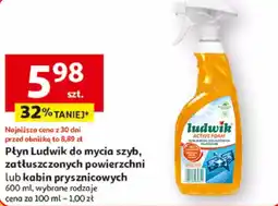 Auchan Płyn Ludwik do mycia szyb, zatłuszczonych powierzchni lub kabin prysznicowych oferta