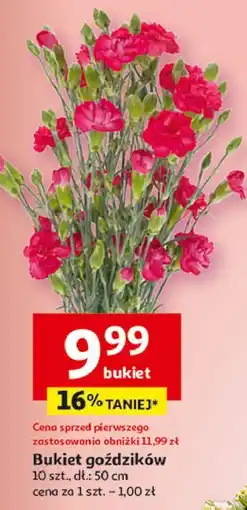 Auchan Goździki oferta