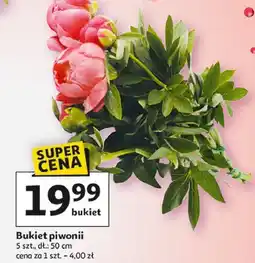 Auchan Piwonie bukiet oferta