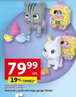 Zwierzak pamper pets Simba