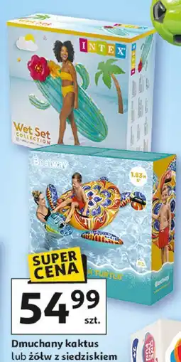 Auchan Kaktus Intex oferta