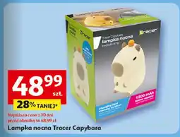 Auchan Lampka capybara Tracer oferta