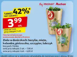 Auchan Bazylia Auchan różnorodne (logo czerwone) oferta