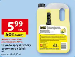 Auchan Płyn do spryskiwaczy oferta