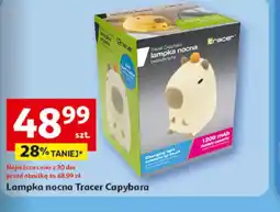 Auchan Lampka nocna Tracer Capybara oferta