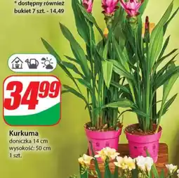 Kurkuma