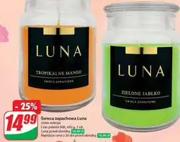 Dino Swieca zapachowa Luna oferta