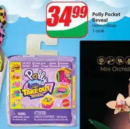 Polly Pocket Reveal