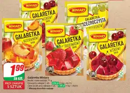 Dino Galaretka Winiary oferta
