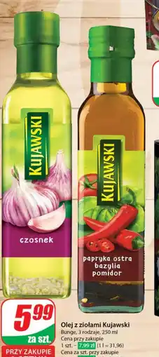 Dino Olej z ziołami Kujawski oferta