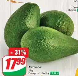 Dino Awokado oferta