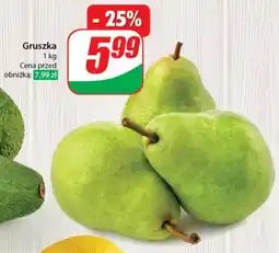 Dino Gruszka oferta