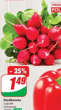 Dino Rzodkiewka oferta
