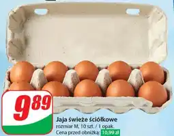 Dino Jaja świeże ściółkowe oferta