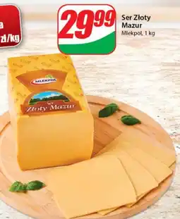 Dino Ser Złoty Mazur Mlekpol oferta