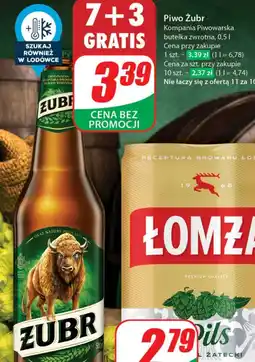 Dino Piwo Zubr oferta