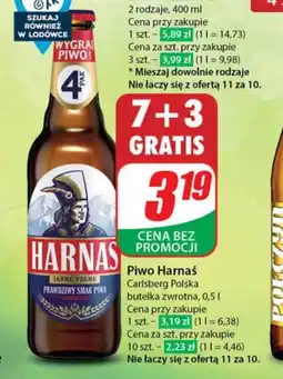 Dino Piwo Harnaś oferta