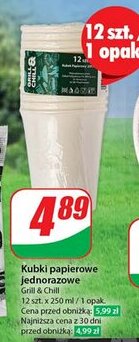 Dino Kubki papierowe jednorazowe Grill & Chill oferta
