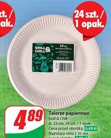 Dino Talerze papierowe Grill & Chill oferta