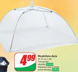 Dino Moskitiera duża oferta